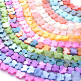 50Pcs Natural Butterfly Shell Beads 8x11mm Freshwater Loose Spacer Beads