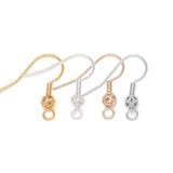 50Pcs Earring Hooks Hypoallergenic Fish Hook Ear Wire With Ball and Coil 20mm