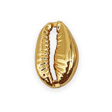 50pcs Electroplated Shell Beads Cowrie Shells For Bracelet Jewelry Craft