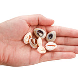 50pcs Natural Small Sea Shell Conch Spacer Beads for DIY Jewelry Making