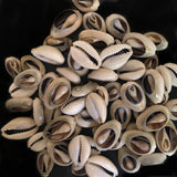 50pcs Shell Beads Cowrie Charm DIY Necklace Bracelet