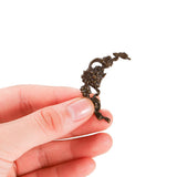 50pcs 40mm Cabochons Base DIY Hair Comb Findings Hairpins Supplies