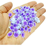 img_13909628