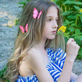 img_12385075