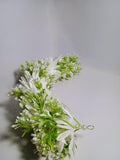 img_15519464