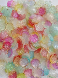 img_13911197