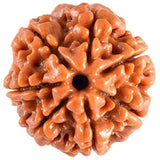 img_14612392