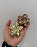 img_14357125