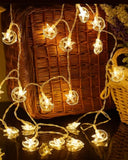 img_14235259