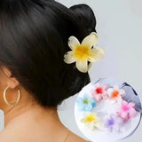 img_13583285