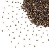 img_14566640