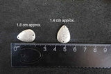 img_14526766