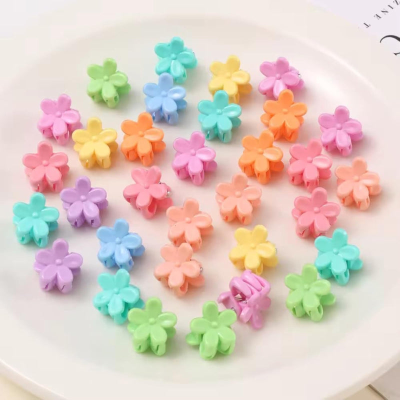 img_13849494