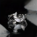 img_5990078