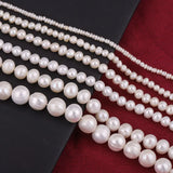 Natural Freshwater Cultured Pearls Loose Beads for Jewelry DIY