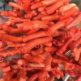 5PCS Irregular Natural Orange Coral Loose Beads Tree Branch Pendant Charm