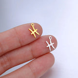 5PCS Zodiac Sign Charms for Women Jewelry Making