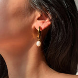 5Pairs Stainless Steel Pearl Hoop Earrings Set