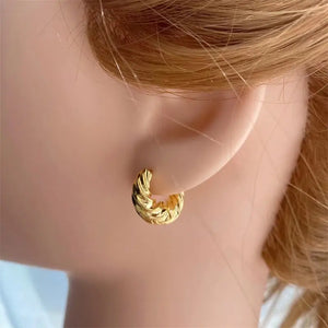 5Pairs Twisted Hoop Earrings Punk Classic Party Earring