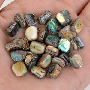5Pcs Abalone Shell Beads Irregular Shape Spacer Beads for Jewelry Making