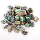 5Pcs Abalone Shell Beads Irregular Shape Spacer Beads for Jewelry Making