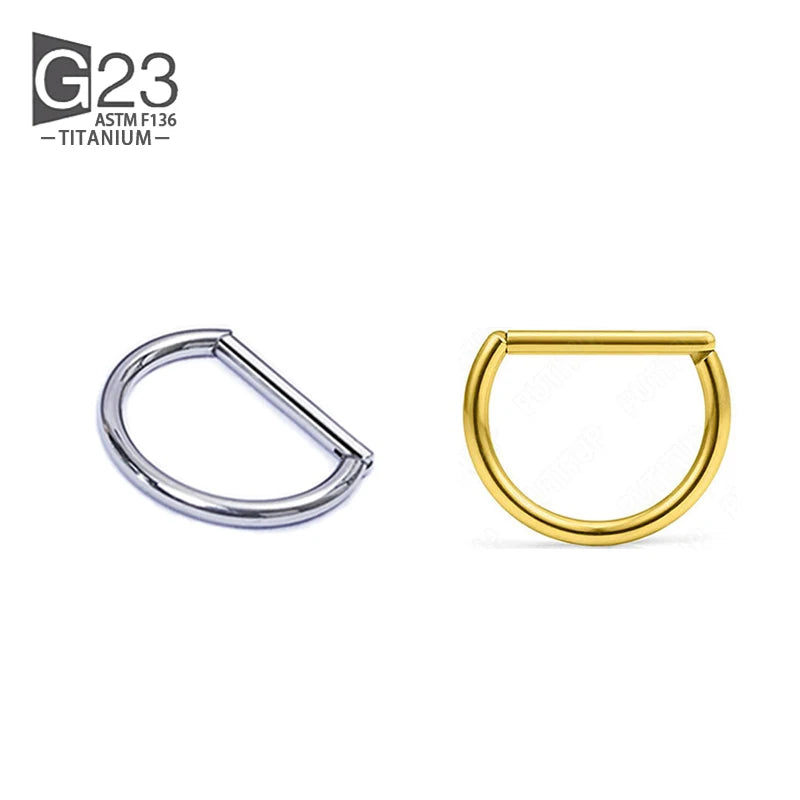 5Pcs Titanium Nose Ring 16G CZ Paved Segment Ring Cartilage