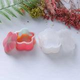 5Pcs Resin Molds with Lids for DIY Craft Making