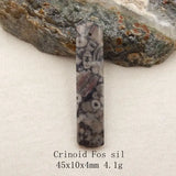 5Pcs Natural Stone Pendants Set 56x14x4mm 19g