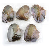 5Pcs Freshwater Mussels Oysters with Cultured Pearl DIY Jewelry Gift Accessory