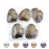 5Pcs Freshwater Mussels Oysters with Cultured Pearl DIY Jewelry Gift Accessory