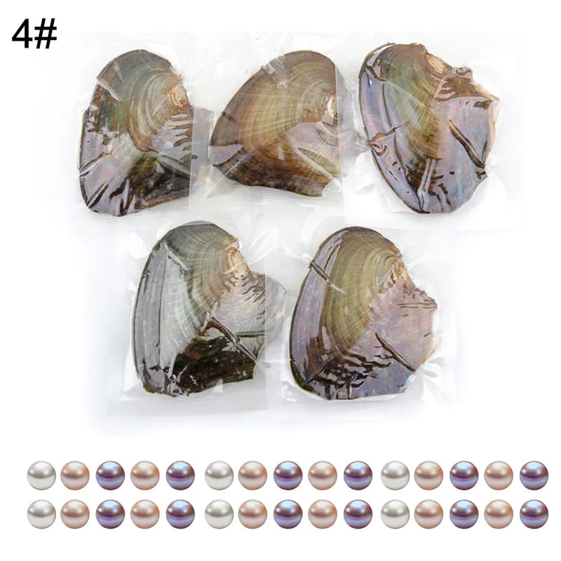 5Pcs Freshwater Mussels Oysters with Cultured Pearl DIY Jewelry Gift Accessory