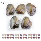 5Pcs Freshwater Mussels Oysters with Cultured Pearl DIY Jewelry Gift Accessory