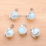 5Pcs Natural Opal Dragon Claw Reiki Chakra Women Pendant