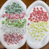 5Pcs Colorful Flower Nail Rhinestone 3D Acrylic Charms DIY Manicure Accessories