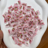 5Pcs Colorful Flower Nail Rhinestone 3D Acrylic Charms DIY Manicure Accessories