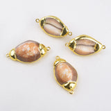 5Pcs Natural Conch Shell Plated Beads For Jewelry Making