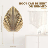 5Pcs Natural Dried Palm Leaves Tropical Dried Palm Fans Boho Dry Leaves Decor