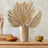 5Pcs Natural Dried Palm Leaves Tropical Dried Palm Fans Boho Dry Leaves Decor