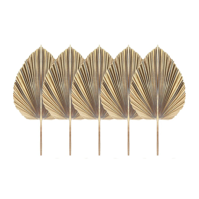 5Pcs Natural Dried Palm Leaves Tropical Dried Palm Fans Boho Dry Leaves Decor