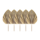 5Pcs Natural Dried Palm Leaves Tropical Dried Palm Fans Boho Dry Leaves Decor