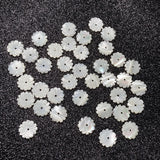 5Pcs Natural Shell Beads Flower-shaped Loose Shell For Jewelry Making