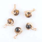 5Pcs Tigers Eye Raw Gem Charm Dragon Claw Crystal Pendants