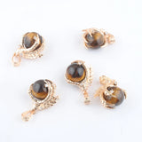 5Pcs Tigers Eye Raw Gem Charm Dragon Claw Crystal Pendants