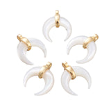 5Pcs Natural Shell Mother of Pearl Shell Pendant for DIY Necklace Bracelet