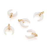 5Pcs Natural Shell Mother of Pearl Shell Pendant for DIY Necklace Bracelet