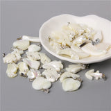 5Pcs/Set Natural Shell Pendant Charms for Jewelry Making