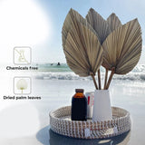 5Pcs Trimmed Dried Palm Leaves, Boho Wedding Decor