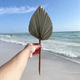 5Pcs Trimmed Dried Palm Leaves, Boho Wedding Decor