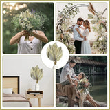 5Pcs Trimmed Dried Palm Leaves, Boho Wedding Decor