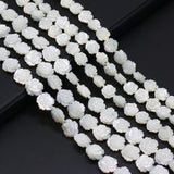 5Pcs/lot Rose Flower Pearl Shell Beads Carved Sea Shell Loose Beads